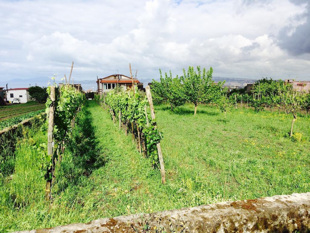 B&B Villa Nunzia Ercolano Eksteriør bilde